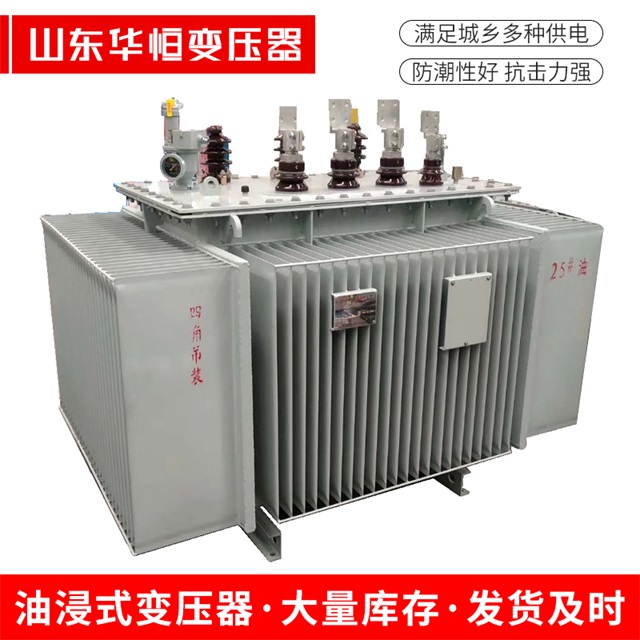 S13-10000/35林芝林芝林芝电力变压器厂家