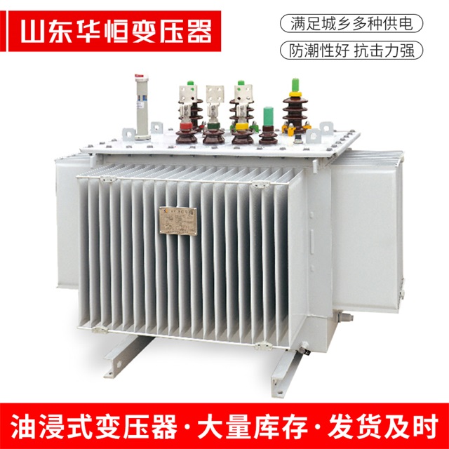 S13-10000/35林芝林芝林芝电力变压器
